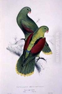 Crimson-Winged Parakeet