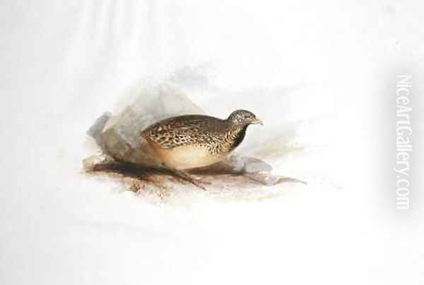 Grouse type - view 1