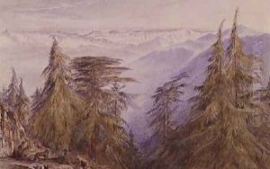 Monkeys on a crag near Simla North India