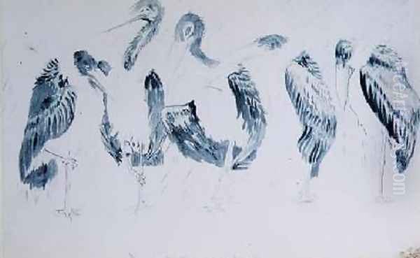 Studies of Storks - view 1
