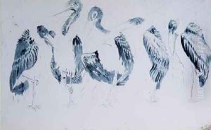 Studies of Storks