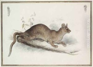 The Polecat