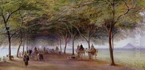 View of the Pyramids Road Giza