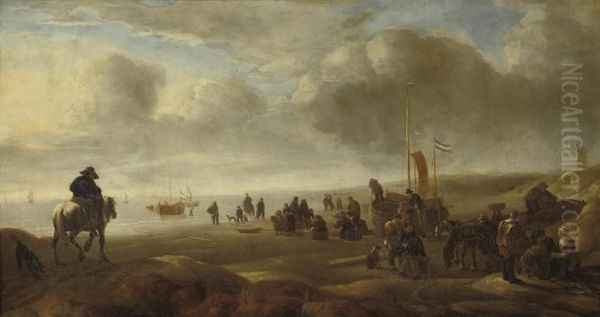 An Extensive Coastal Landscape - view 1