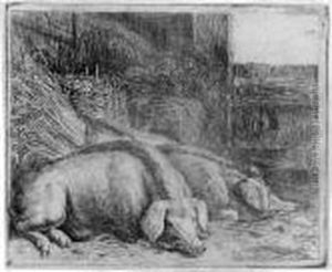 Zwei Schweine