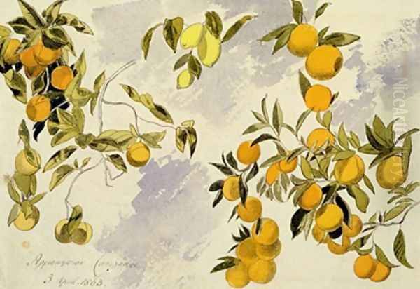 Orange Trees - view 1