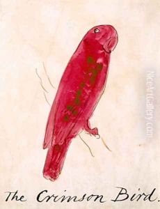 The Crimson Bird by Edward Lear