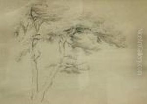 Study Of A Tree by Peter de Wint