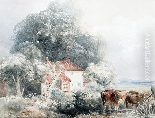 Cattle Watering Before A Cottage - view 1