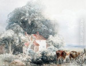 Cattle Watering Before A Cottage