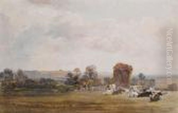 Cattle Resting - view 1