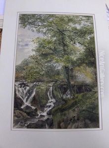 Welsh Stream Welsh Stream