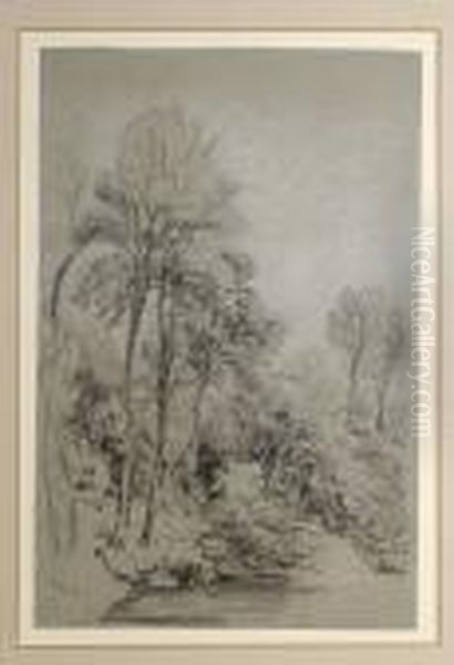 Trees By A Pool - view 1
