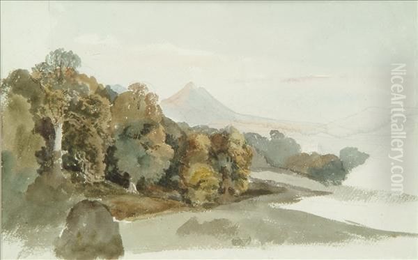 Untitled - view 1