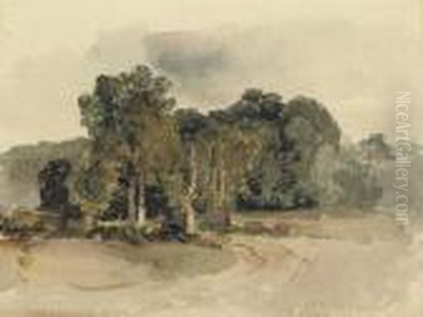 A Copse In An Open Landscape - view 1