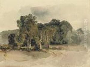 A Copse In An Open Landscape