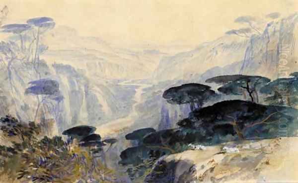 Cedars overlooking the valley, Galilea - view 1