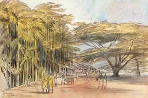 View of Ratnapura, Ceylon
