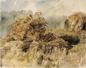 Corn Stooks