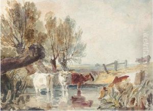 Cattle Watering At A Ford Cattle Watering At A Ford
