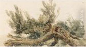 A Fallen Tree by Peter de Wint