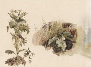 A Thistle, Burdock And Grass