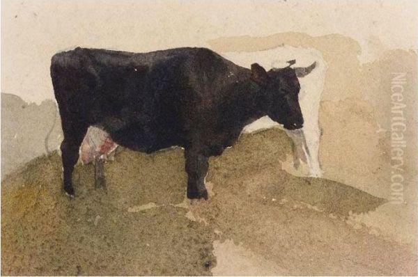 Study Of Cows - view 1