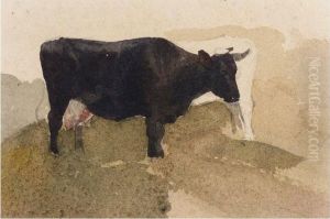 Study Of Cows