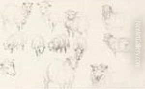 Studies Of Animals by Peter de Wint