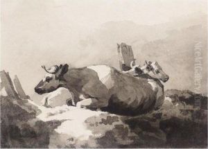 Cows By A Fence