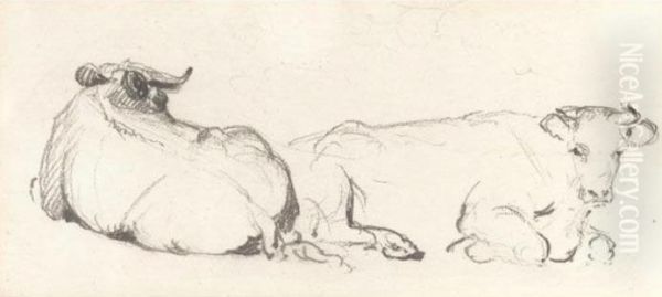 Study Of Cows Resting - view 1