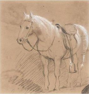A Saddled Pony; Saddled Donkeys