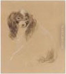 A King Charles Spaniel