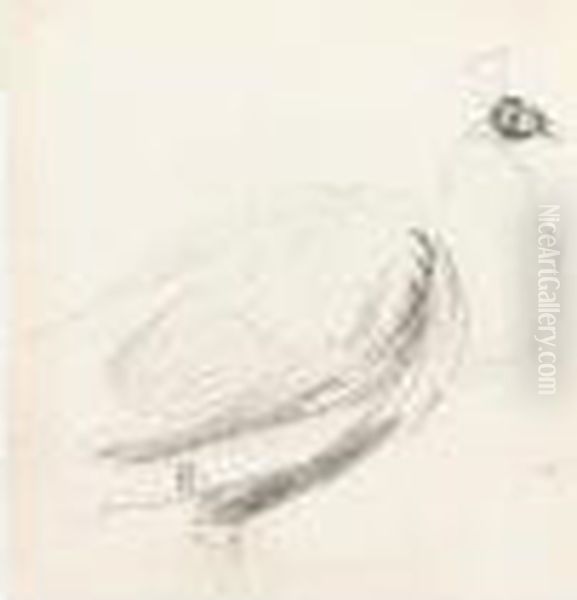 Study Of A Lady; Study Of A Peacock - view 1