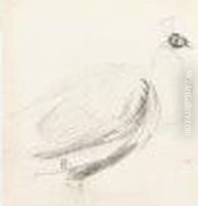Study Of A Lady; Study Of A Peacock by Peter de Wint