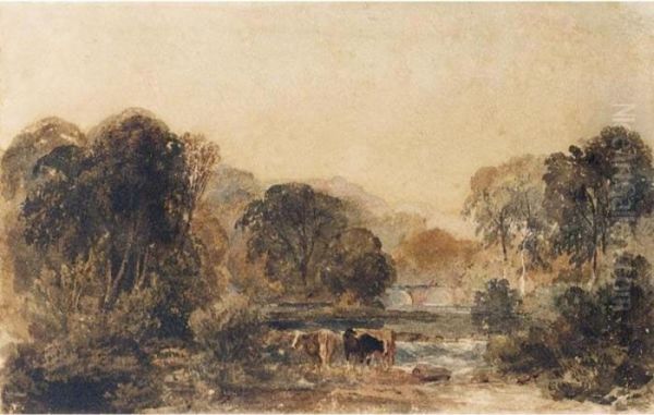 Cattle By A Stream In A Wooded Landscape - view 1
