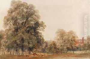 A Herd Of Deer Resting Beneath A Tree, Greenwich Park