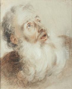 Etude De Tete D'homme Barbu Regardant Le Ciel by Jacob de Wit
