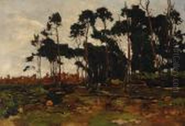 Cows Amongst Thetrees - view 1