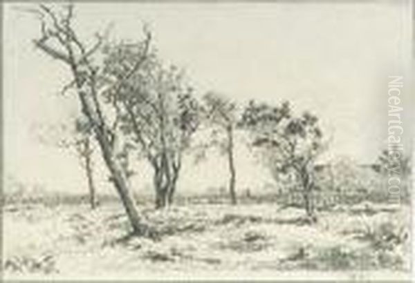 Trees In A Landscape - view 1