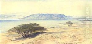 The southern end of the Dead Sea