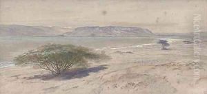 On the shores of the Mediterranean by Edward Lear