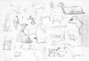 Studies of sheep and herdsmen by Edward Lear
