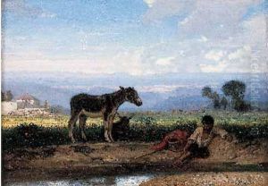 Berger Au Bord D'un Cours D'eau