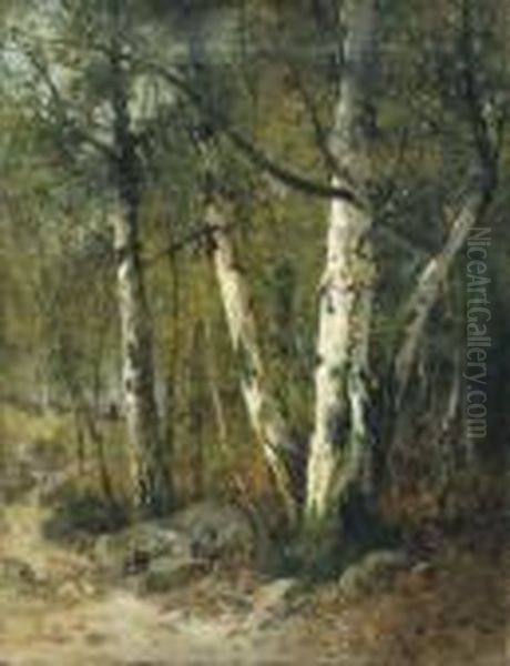 Chemin En Sous-bois - view 1