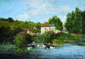 Canards Au Bord D'une Riviere