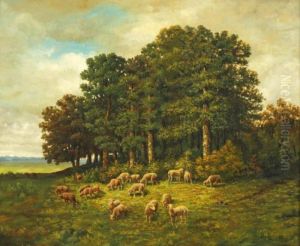 Les Moutons A Clairiere