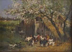 Poules Sous Les Cerisiers En Fleurs