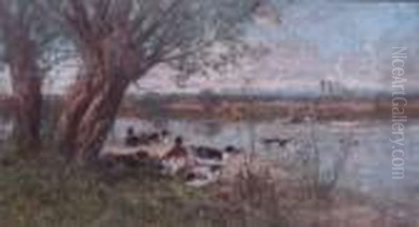 Canards Sur Le Rivage - view 1