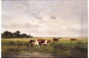Vaches Au Pre Vaches Au Pre